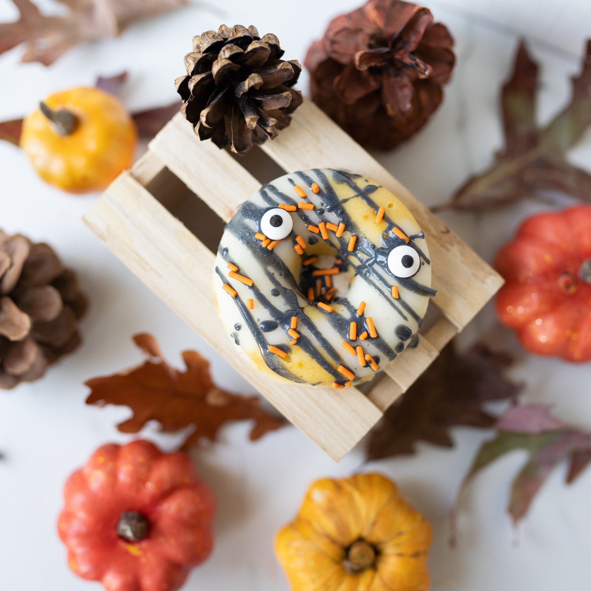 Orange Vanilla Pumpkin Bath Melt Donuts IMPERFECT